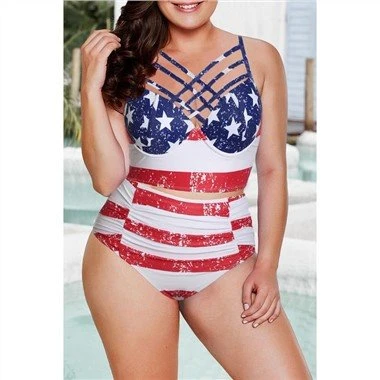 American Flag Strappy Neck Plus Size Swimsuit